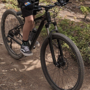 2020 Cannondale Trail 7 Silver, gray or bare metal and Black