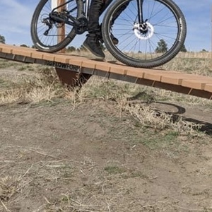 2020 Cannondale Trail 7 Silver, gray or bare metal and Black