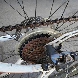 Norco Bikes White