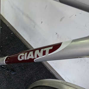 Giant Light Red