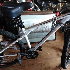 2013 GT Bicycles MT0316