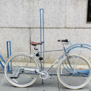 2018 PUBLIC bikes D8i Silver, gray or bare metal