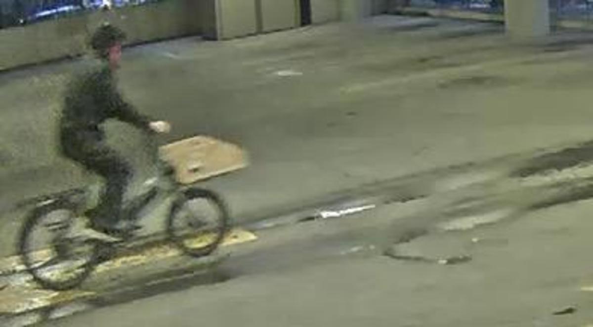 Cargo Bike photo