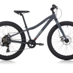 2019 REI REV 24 Plu Silver, gray or bare metal