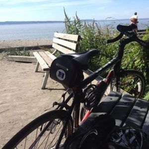 2013 Trek Black and Red