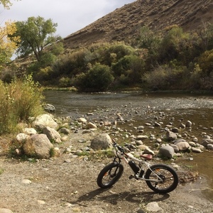 2015 Rad Power Bikes RADROVER White