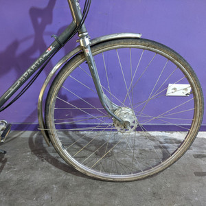 Sparta Silver, gray or bare metal