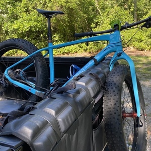 2017 Custom Carbon Blue