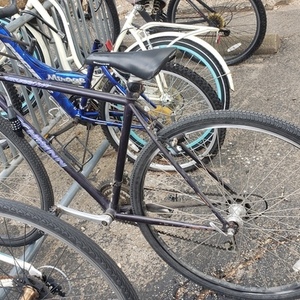 1999 Schwinn Crosscut Purple