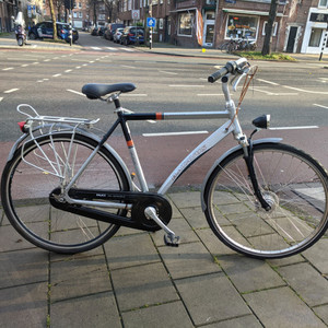 Batavus Weekend Silver, gray or bare metal
