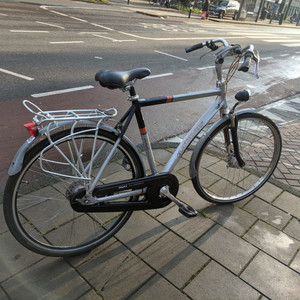 Batavus Weekend Silver, gray or bare metal