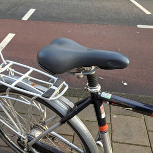 Batavus Weekend Silver, gray or bare metal
