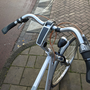 Batavus Weekend Silver, gray or bare metal