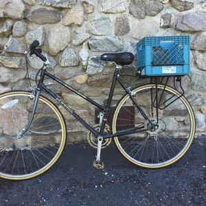 Schwinn Step through frame Black and Blue