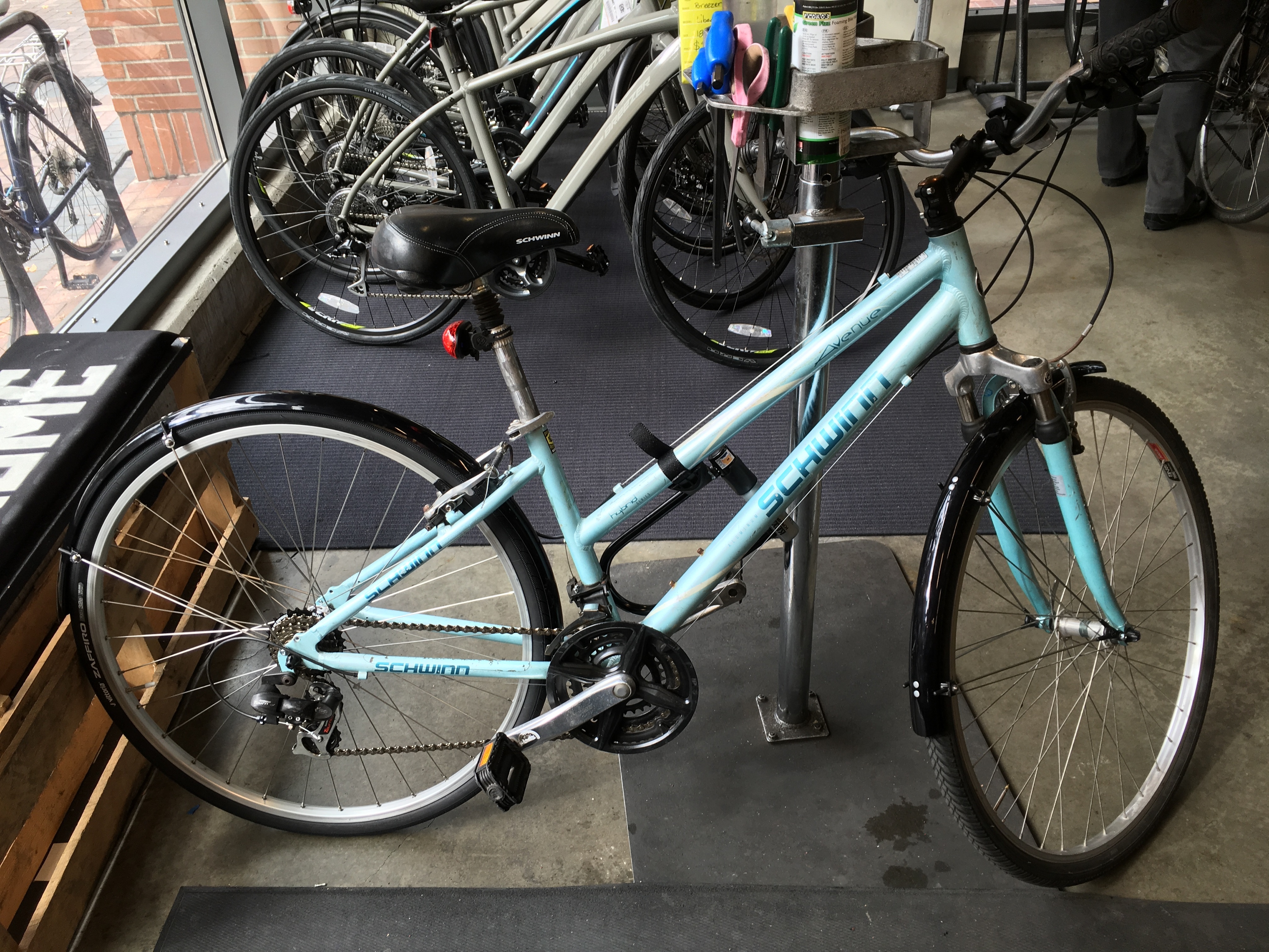 schwinn avenue