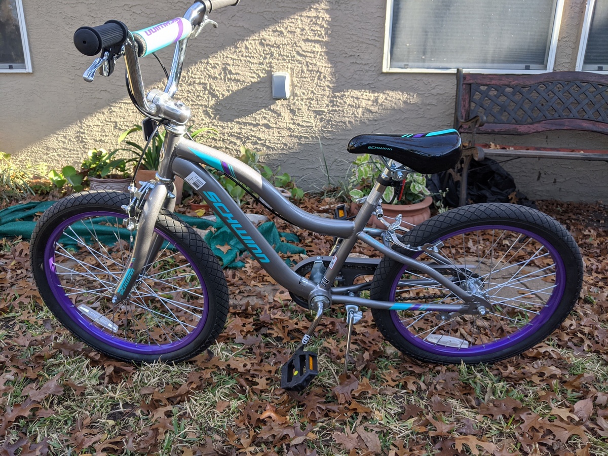 most comfortable bike seats