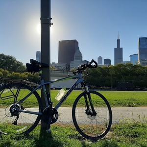 2012 SCOTT Sportster Silver, gray or bare metal and Green