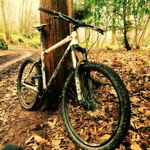 2010 Orange P7 White