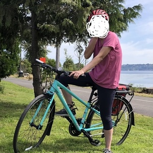 2016 Trek 7.3 FX WSD Green