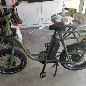 2020 Rad Power Bikes RadRunner Green and Orange