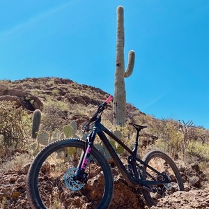 2020 Trek Top fuel 9.8 Black