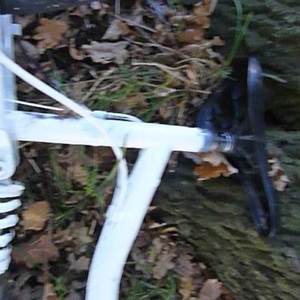 Apollo Unknown (obscured) Silver or Gray