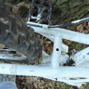 Apollo Unknown (obscured) Silver or Gray