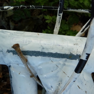 Apollo Unknown (obscured) Silver or Gray