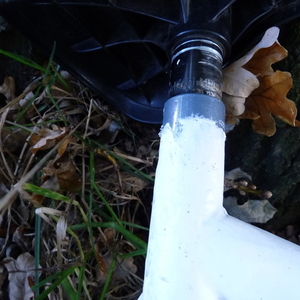 Apollo Unknown (obscured) Silver or Gray