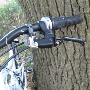 Apollo Unknown (obscured) Silver or Gray