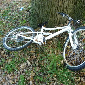 Apollo Unknown (obscured) Silver or Gray