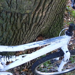 Apollo Unknown (obscured) Silver or Gray