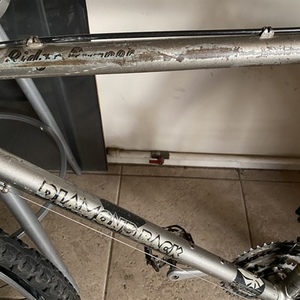 Diamondback Ridge Runner Silver, gray or bare metal
