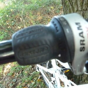 Apollo Unknown (obscured) Silver or Gray