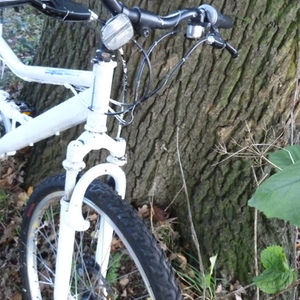 Apollo Unknown (obscured) Silver or Gray