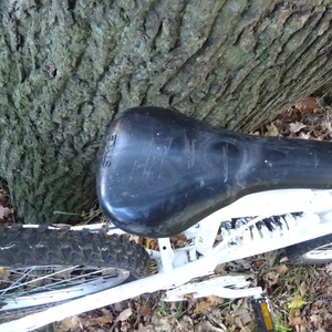 Apollo Unknown (obscured) Silver or Gray