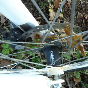 Apollo Unknown (obscured) Silver or Gray