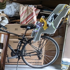 2013 Cannondale Black