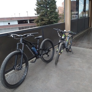 2019 Specialized Stumpjumper 29 Black