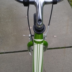 2015 Schwinn 2015 Green