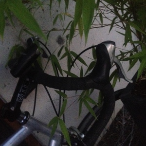 1990 Cannondale Street/Racing Silver or Gray