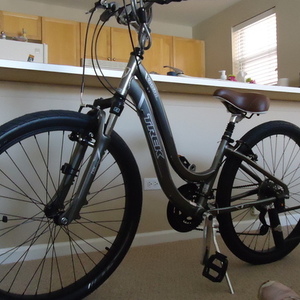 2012 Trek 13.5L Silver or Gray