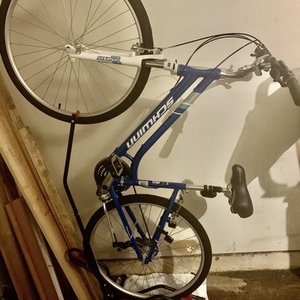 2020 Schwinn Step through Blue