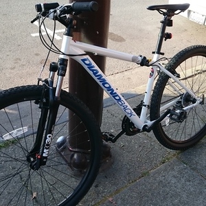 2015 Diamondback White