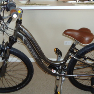 2012 Trek 13.5L Silver or Gray