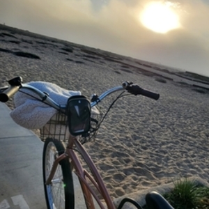 2020 Electra Cruiser Pink