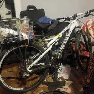 Specialized Epic Expert White