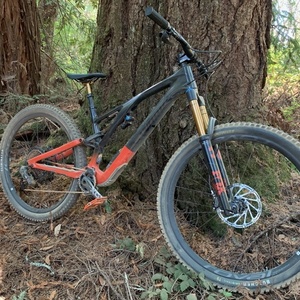 2021 Specialized Stumpjumber S-Works Evo 29 Black and Red