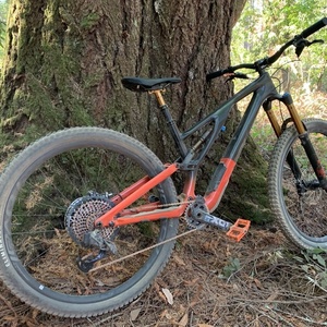 2021 Specialized Stumpjumber S-Works Evo 29 Black and Red
