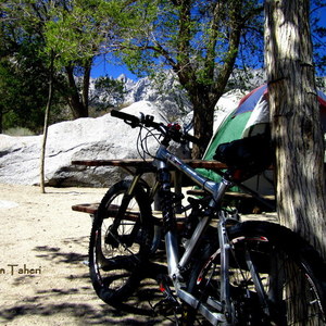 2011 Motobecane FANTOM DS TEAM Silver or Gray